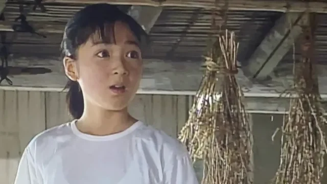 『ちゅらさん』の子役は今何してる？キャストの現在を徹底調査